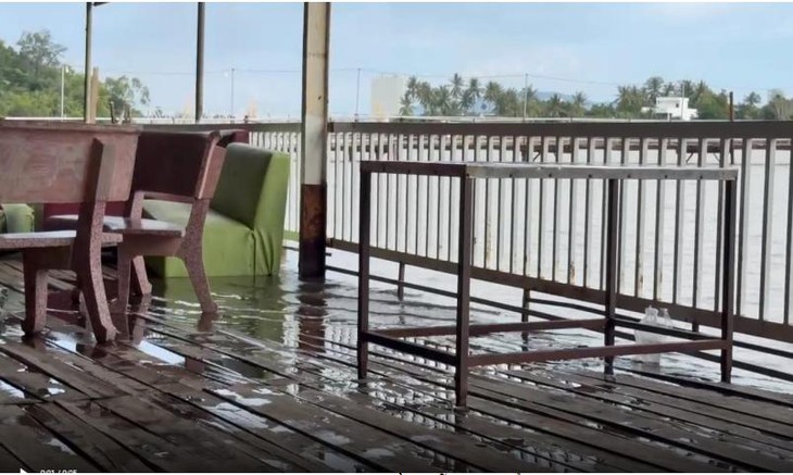 Kết quả kiểm tra đập ngăn mặn vừa vận hành đã gây ngập nhà, ruộng lúa dân - Ảnh 3.