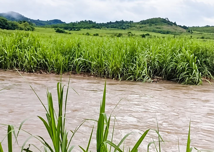 Đắk Lắk mưa lớn gây sạt lở đường, vùng trũng ven sông Ba bị ngập - Ảnh 4.