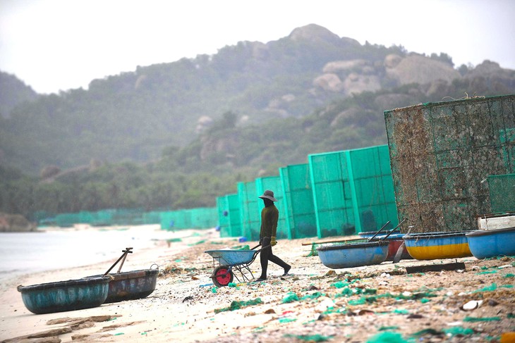 Bãi biển ở vịnh Cam Ranh ngập ngụa rác thải từ lồng nuôi tôm hùm - Ảnh 1.