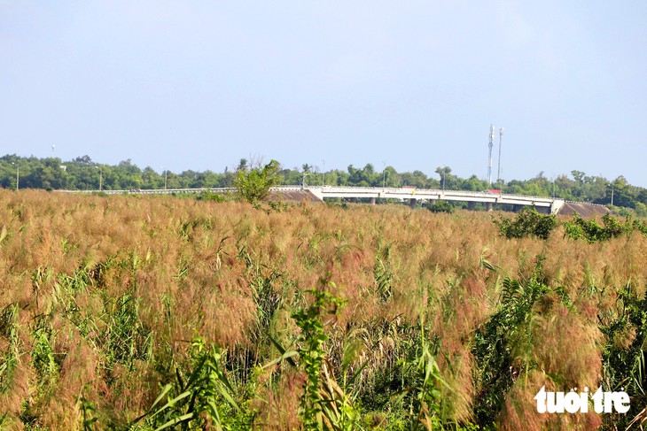 Lau trổ đầy đồng, dân nói hết lũ, thời tiết từ nay đến tháng 4-2027 thế nào? - Ảnh 1.
