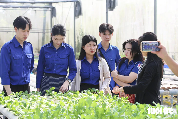 Sinh viên Lào , Campuchia tìm hiểu văn hóa Việt Nam qua trải nghiệm nông nghiệp 2026 - Ảnh 1.