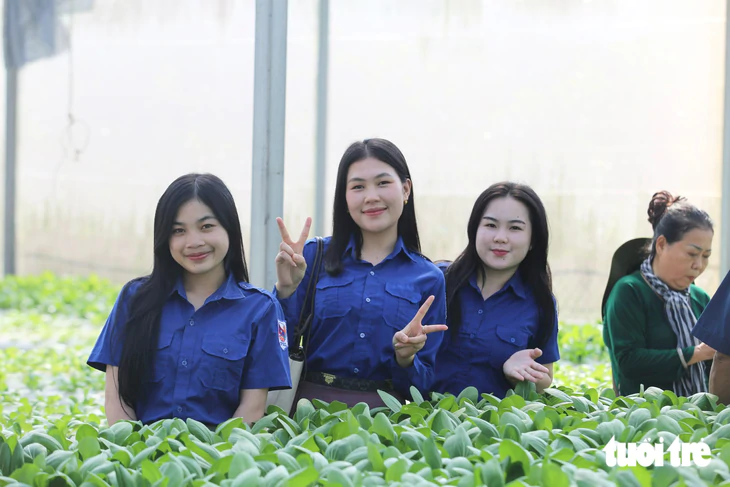 Sinh viên Lào , Campuchia tìm hiểu văn hóa Việt Nam qua trải nghiệm nông nghiệp 2026 - Ảnh 6.