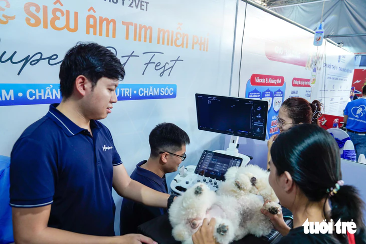 Dàn thú cưng hóa trang Halloween, tranh tài trên sàn diễn Super Pet Fest - Ảnh 9.