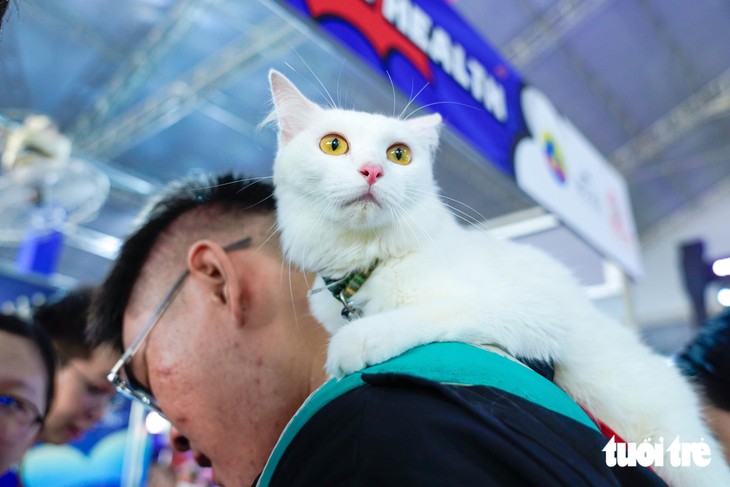 Dàn thú cưng hóa trang Halloween, tranh tài trên sàn diễn Super Pet Fest - Ảnh 10.