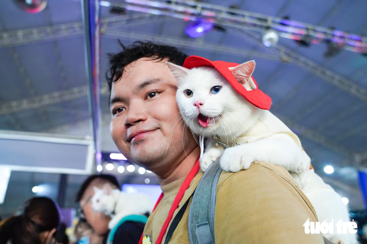 Dàn thú cưng hóa trang Halloween, tranh tài trên sàn diễn Super Pet Fest - Ảnh 12.