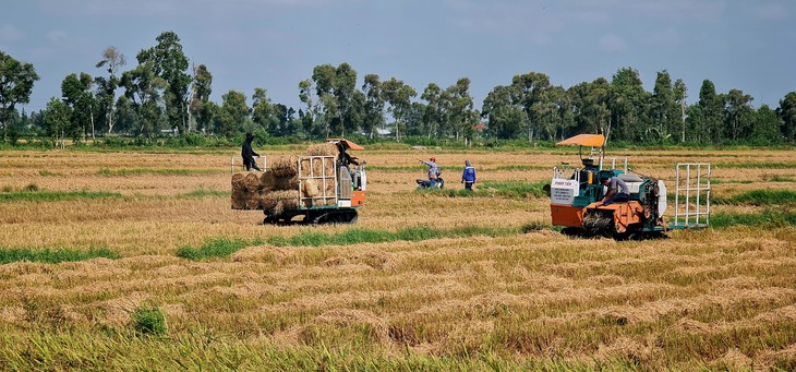 Theo dòng Mekong, 'lời nguyền con rồng' và câu chuyện phát triển - Bài 2: Nước mặn có phải kẻ thù châu thổ? - Ảnh 1.