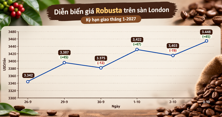 Robusta tuần qua: Đầu vụ giá tăng - Ảnh 1.