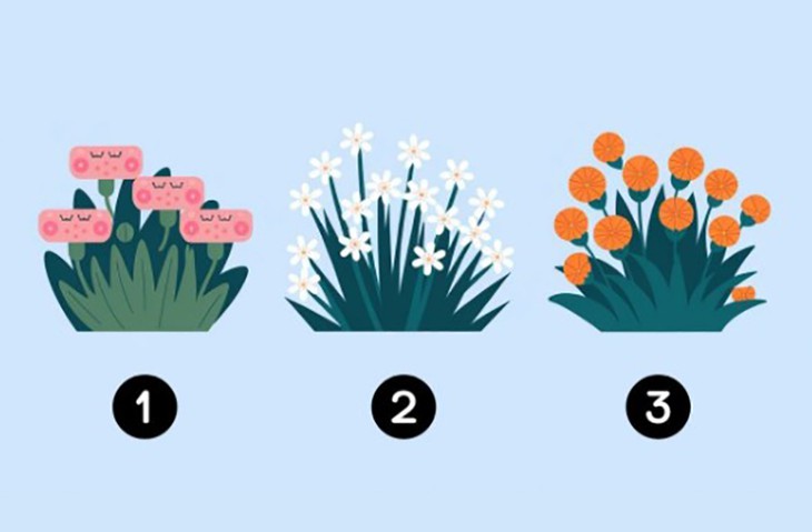 Quiz: Bạn nổi bật với điểm mạnh gì? - Ảnh 1.