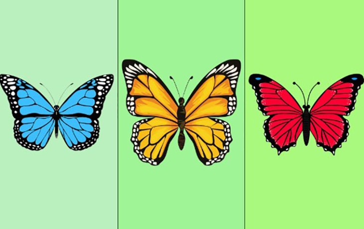 Quiz: Bạn khác biệt gì so với mọi người? - Ảnh 1.