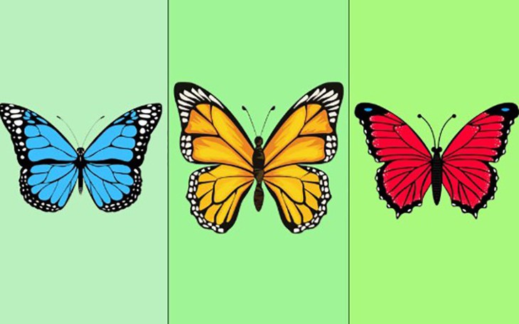 Quiz: Điều gì dễ làm bạn tổn thương? - Ảnh 2.