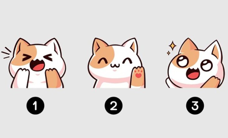 Quiz: Cách bạn có thể đạt được hạnh phúc đích thực? - Ảnh 1.