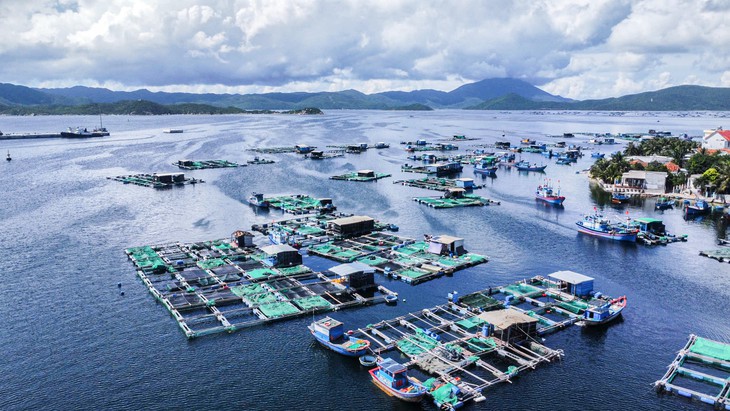 Cá nuôi chết bất thường ở Khánh Hòa - Ảnh 2.