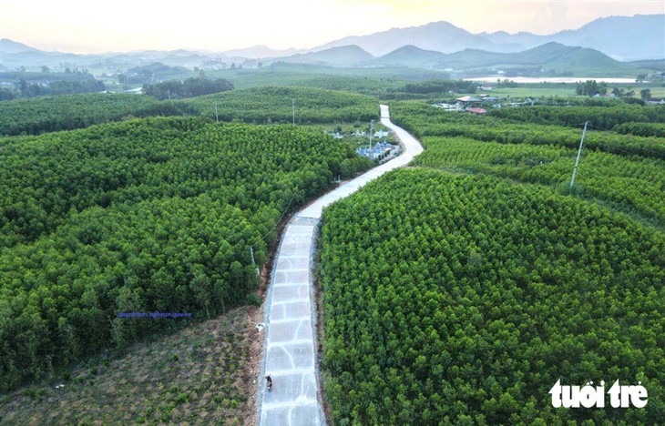127 học sinh chưa đến trường: Nghệ An giao công an xử lý người cản trở đưa học sinh tới lớp - Ảnh 2.