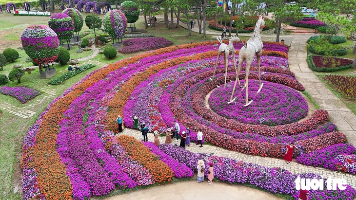 Festival hoa Đà Lạt 2026: 54 xã phường cùng trồng hoa - Ảnh 1.