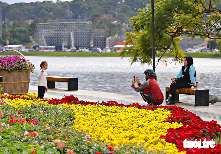 Festival hoa Đà Lạt 2026: 54 xã phường cùng trồng hoa - Ảnh 2.