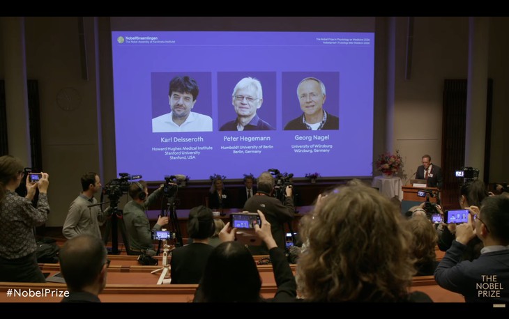 Tuần lễ Nobel 2026 bắt đầu: Nobel Y sinh gọi tên nghiên cứu về não bộ - Ảnh 1.