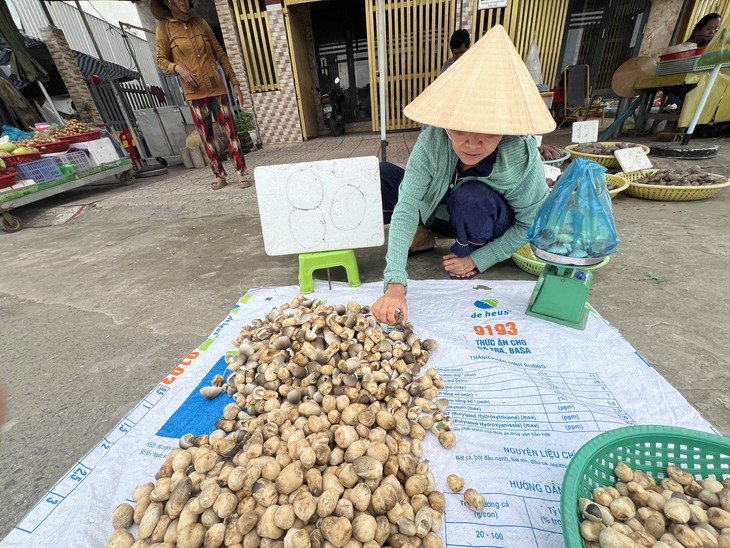 Giá cả đầu ngày: Nấm rơm hữu cơ lên 160.000 đồng/kg, cá chạch lấu 250.000 đồng/kg - Ảnh 1.