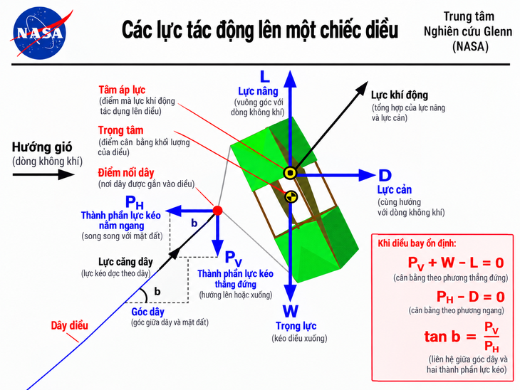 Vì sao một chiếc diều có thể nhấc bổng người lên khỏi mặt đất? - Ảnh 1.