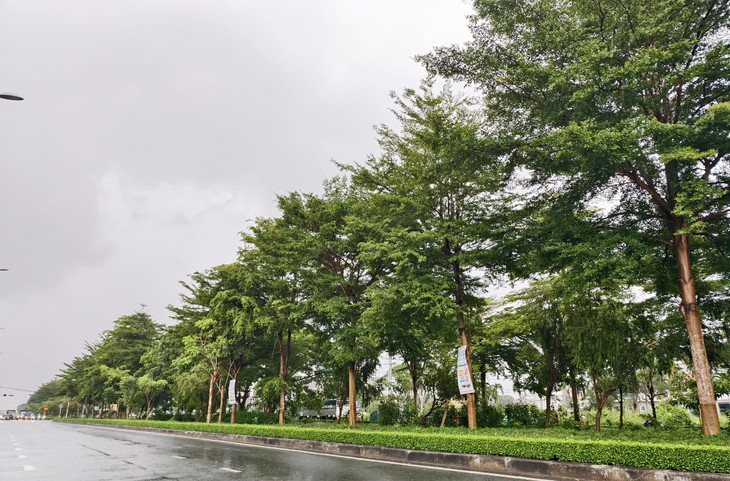 Hệ thống 'cây xanh Công Minh' trúng bao nhiêu gói thầu ở Cần Thơ, Hậu Giang, Sóc Trăng? - Ảnh 1.