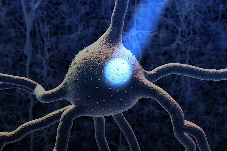 Nobel y sinh 2026: Bật tắt neuron bằng ánh sáng, đặt nền cho cách chữa Alzheimer, Parkinson trong tương lai - Ảnh 1.
