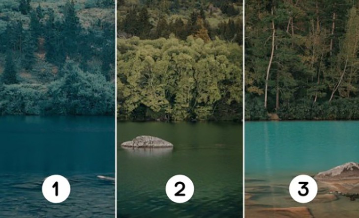 Quiz: Bạn thích nhất điều gì? - Ảnh 1.