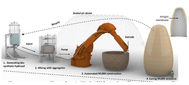Vật liệu "sống" từ nấm men có thể giúp xây nhà trên sao Hỏa - Ảnh 2.