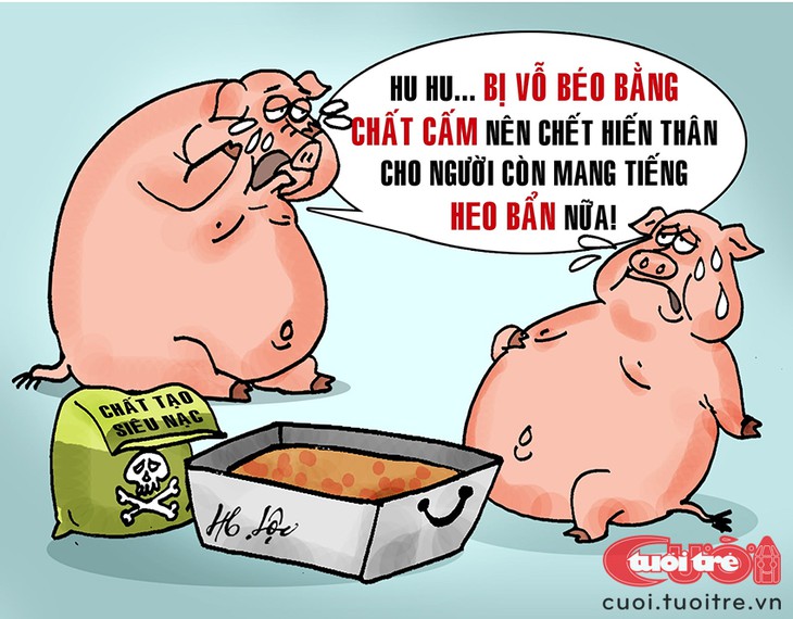 Heo siêu nạc, người tiêu dùng... siêu lo - Ảnh 1.