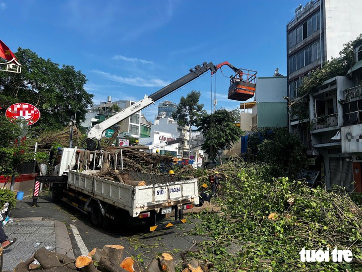 Cây si của một tòa nhà bật gốc chắn ngang đường Đinh Tiên Hoàng - Võ Thị Sáu, TP.HCM - Ảnh 3.