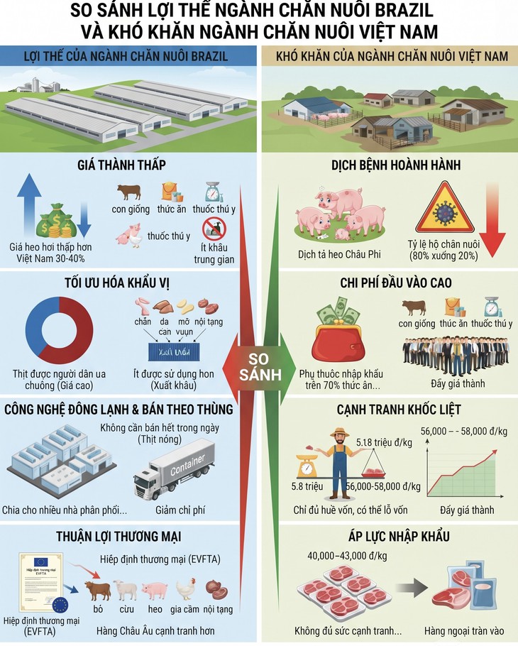 Vì sao đi nửa vòng trái đất giá vẫn thấp hơn hàng nội? - Ảnh 7.