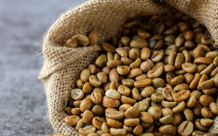Thế giới chưa có 'ngôi vương' Robusta chất lượng cao là thời cơ để cà phê Việt khẳng định vị thế - Ảnh 2.
