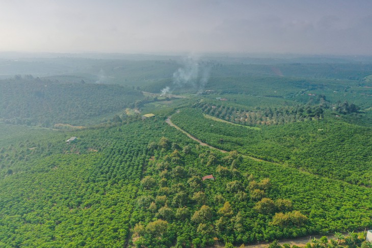 Robusta Việt: Giữ lại giá trị bằng thương hiệu riêng - Ảnh 2.