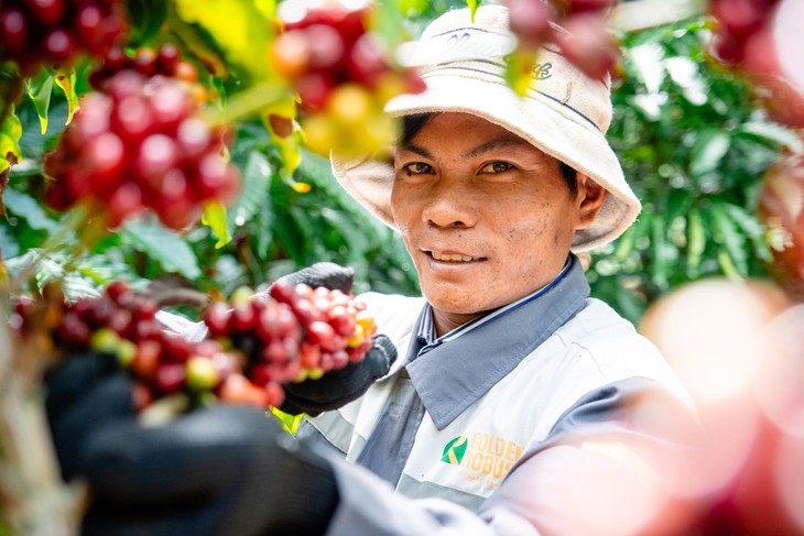 Robusta Việt: Giữ lại giá trị bằng thương hiệu riêng - Ảnh 1.