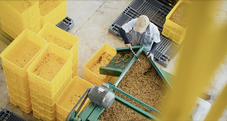 Robusta Việt: Từ bán nhiều đến bán có giá - Ảnh 1.