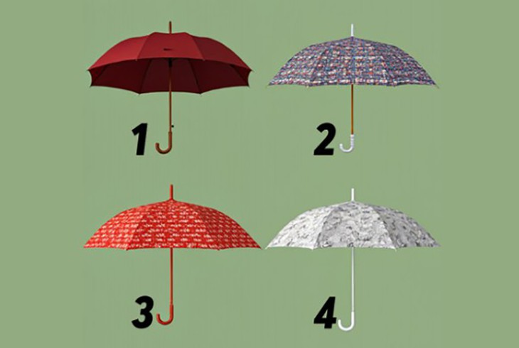 Quiz: Bạn tự tin, tham vọng hay sáng tạo, linh hoạt? - Ảnh 1.