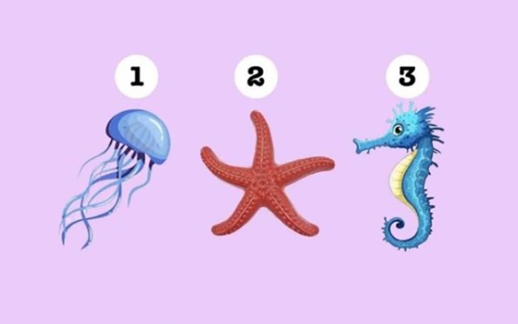 Quiz: Bí quyết vượt qua những thử thách thường nhật của bạn là gì? - Ảnh 1.