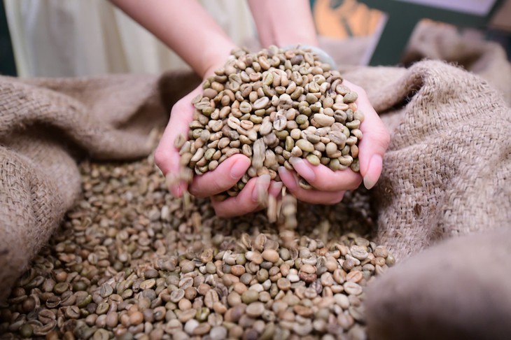 Muốn Robusta Việt có thương hiệu riêng, ai sẽ đứng ra làm? - Ảnh 4.
