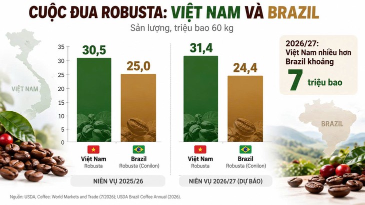 Thấy gì từ bài học của Colombia, Ethiopia, Uganda,... xây dựng thương hiệu cà phê? - Ảnh 1.