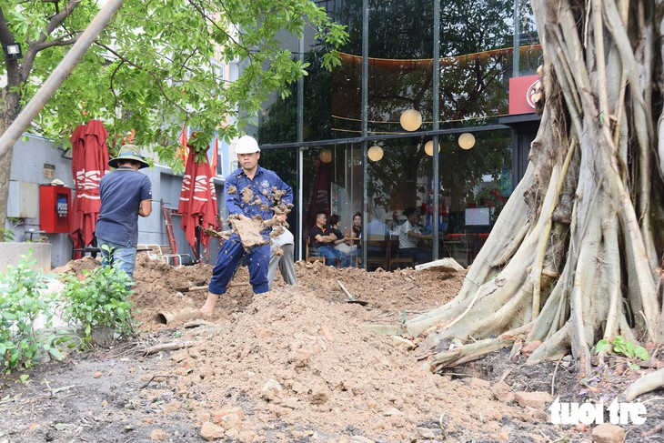 Trồng lại cây bồ đề ngã ra đường Võ Thị Sáu - Đinh Tiên Hoàng, TP.HCM ở vị trí cũ - Ảnh 2.