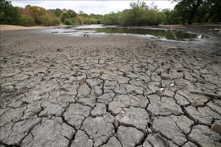 El Nino có thể mạnh nhất trong hơn 70 năm, đỉnh điểm vào tháng 12 - Ảnh 1.