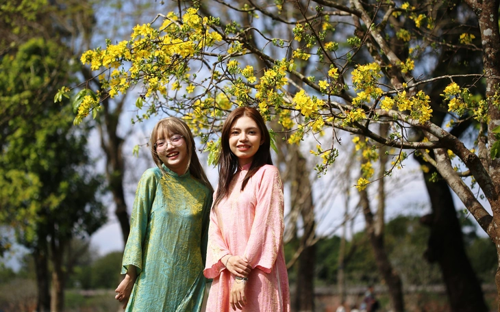 Độc lạ mai ghế - Ảnh 8.