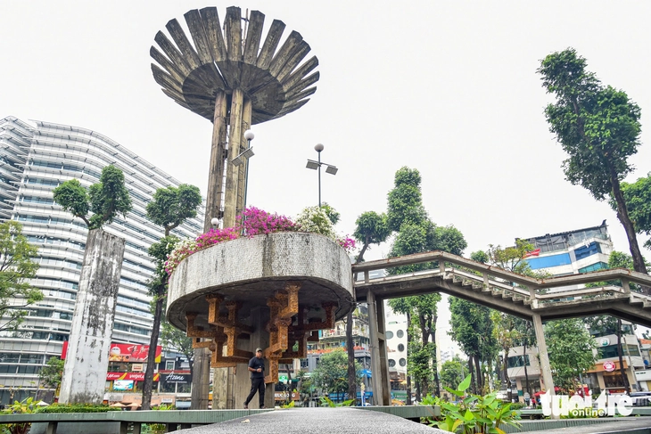 hồ con rùa - Ảnh 10.