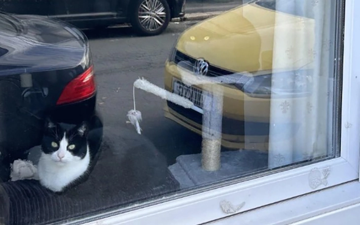 Thử tài IQ: Di chuyển một que diêm để 5-3=8 thành phép tính đúng - Ảnh 8.