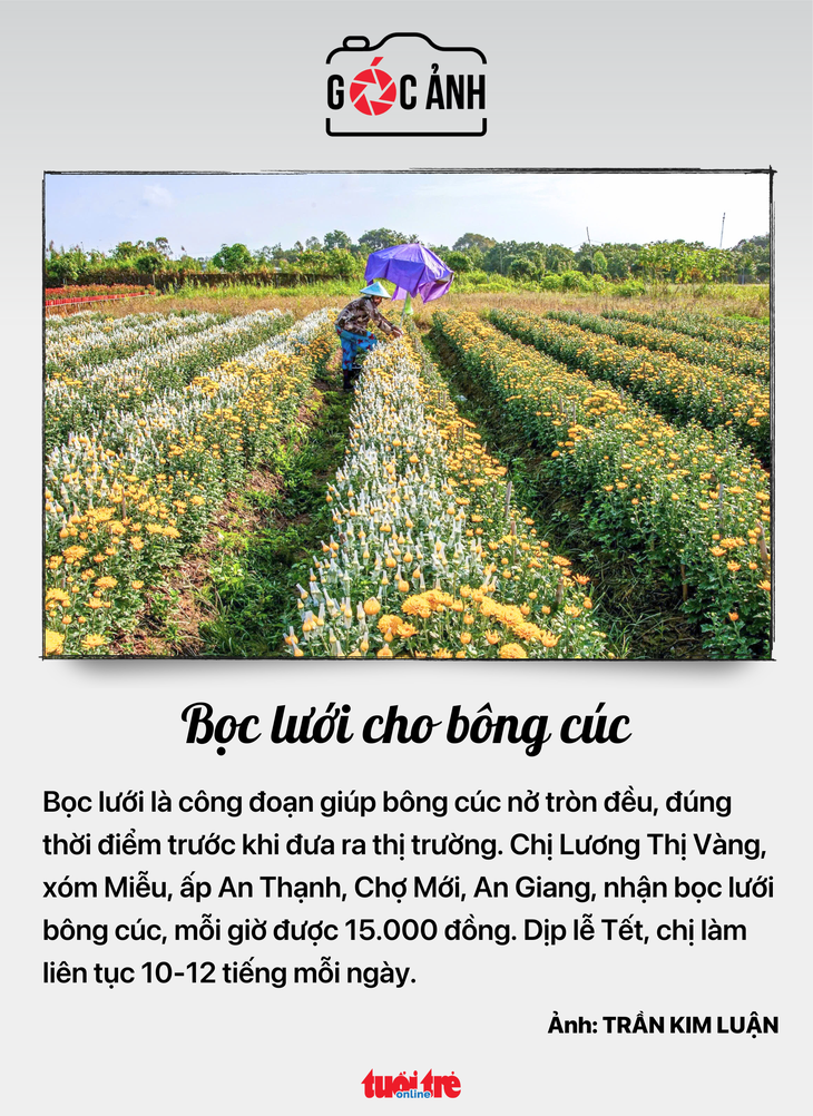 tin tức - Ảnh 8.