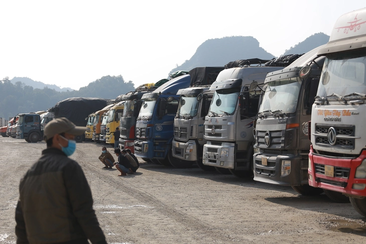 Bộ Nông nghiệp và Môi trường báo cáo Thủ tướng vụ nông sản gặp khó ở cửa khẩu - Ảnh 1.