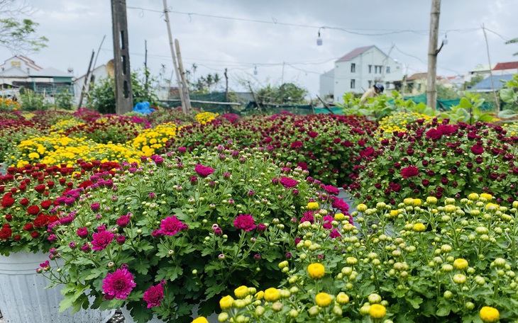 Thủ tướng: Đôn đốc doanh nghiệp chi trả đủ lương, thưởng Tết cho người lao động - Ảnh 2.