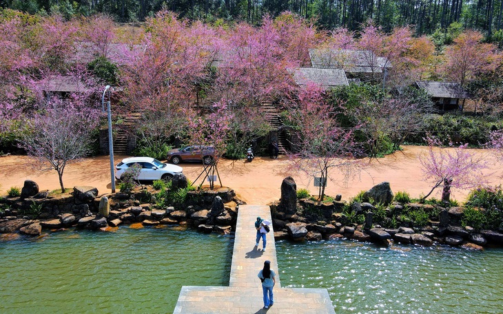 Thời tiết hôm nay 3-2: Bắc Bộ mưa nhẹ, Nam Bộ nắng - Ảnh 2.