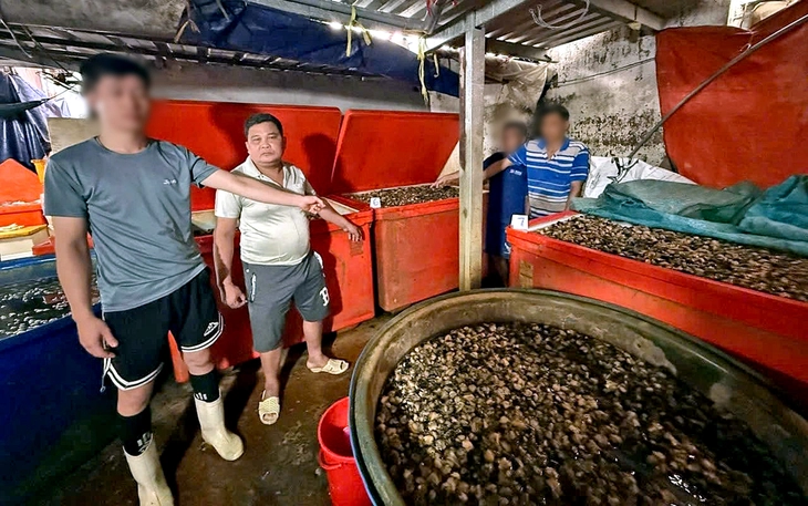 Con ốc bươu vàng, từ ruộng đến bàn ăn - Ảnh 3.