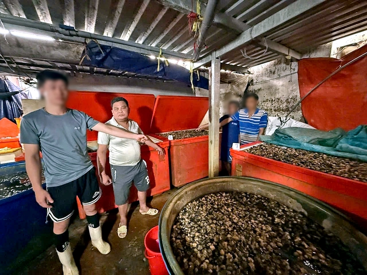 Ốc bươu ngâm ‘thủy tinh lỏng’, đã tiêu thụ 3.000 tấn; Khi nào tăng lương cơ sở? - Ảnh 1.