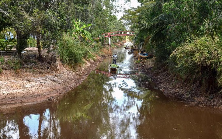 Dự báo thời tiết dịp Tết nguyên đán Bính Ngọ 2026 - Ảnh 3.