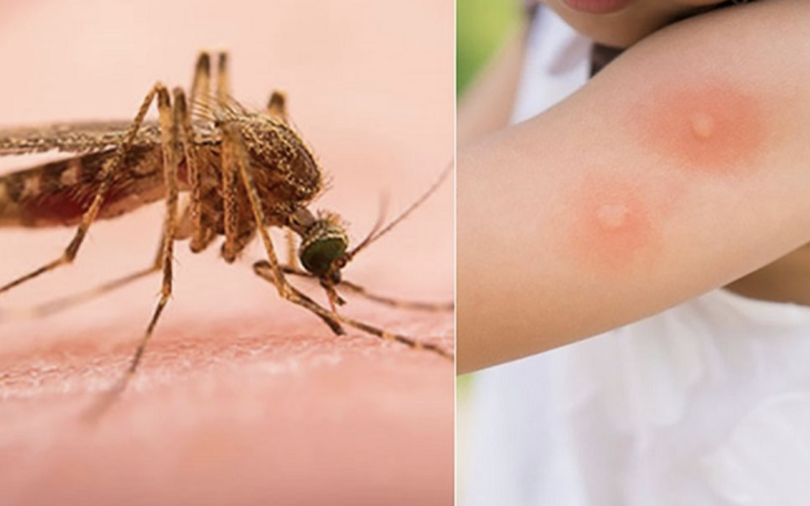 Ngày 29 tháng chạp, người dân du xuân dưới tiết trời nắng gắt ở TPHCM  - Ảnh 14.